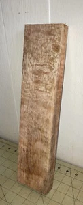 One Piece Hawaiian Curly Mango ~14 1/3" x 3 1/4" x 1 1/8+" (#m002) - Picture 1 of 7