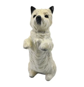 Vintage Coalport England Bone China White Terrier Dog Figurine Standing - Picture 1 of 12