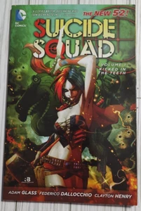 Suicide Squad Kicked in the Teeth by Glass, Adam New 52 Paperback - Picture 1 of 2