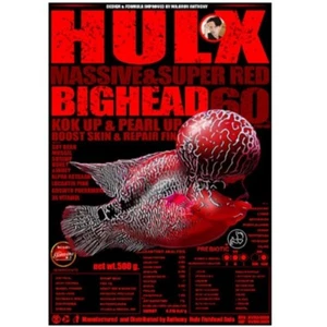 Hulx Bighead FlowerHorn fish food formula increasing supermassive mass accelerat - Picture 1 of 21