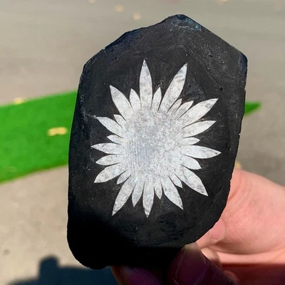 168G Natural Chrysanthemum Stone Quartz Carving Halo Treatment Gift - Image 1 of 4