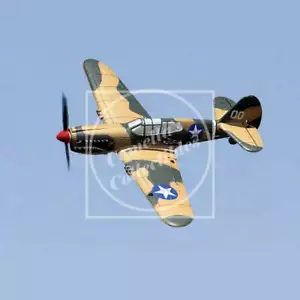 Rage RC P-40 Warhawk Micro RTF aereo con Pilot Assist PASS RGRA1305 - Foto 1 di 6