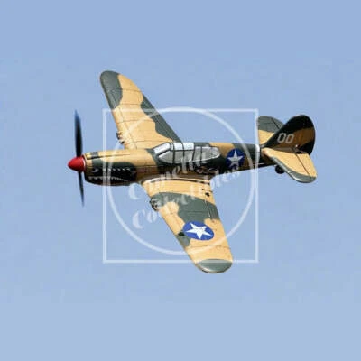 Rage RC P-40 Warhawk Micro RTF Airplane w/ Pilot Assist PASS RGRA1305 - Image 1 of 4