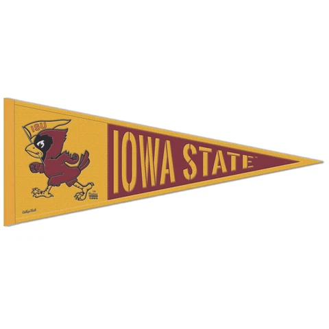 WinCraft Iowa State Cyclones 13" x 32" Vault Pennant Cover