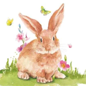 Paperproducts Design Paper Lunch Napkins, Mr. Rabbit - 2 Pack (1334009) - Picture 1 of 1