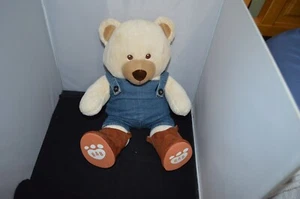 Build A Bear Workshop Bear Allergy & Asthma Brown Tan 12" w/ Outfit I6 Plush - Picture 1 of 4