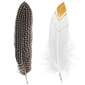Wilder Westen Bastelfedern 12 Indianer-Federn Accessoire Deko-Federn Adlerfedern - Bild 1 von 5