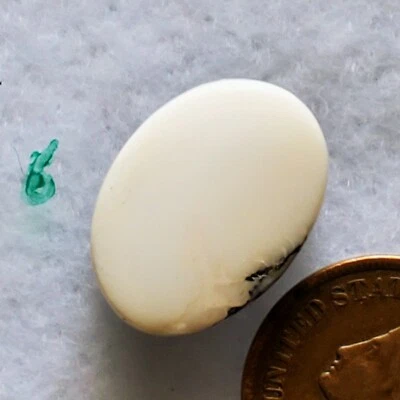 ¡Piedra preciosa cabujón búfalo blanco natural de 14,7 quilates del distrito minero de Tonopah! Foto 1 de 4