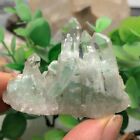 Rare Natural Clear Emerald pyramid Phantom Ghost Garden Quartz Crystal Cluster