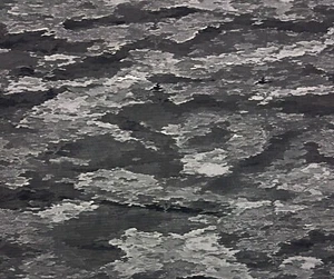 ATACS GHOST GRAY NY/CO RIPSTOP CAMO MILITARY APPAREL FABRIC BY 1/2(0.5)YARD 65"W - Picture 1 of 6