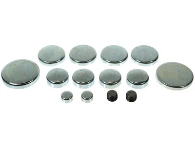 Kit de enchufes de expansión para Buick Century 1975-1987 37916CNGZ 1976 1977 1978 1979 Foto 1 de 2