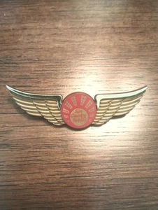 Spilla vintage Sun Country Airlines Junior Wings - Foto 1 di 4