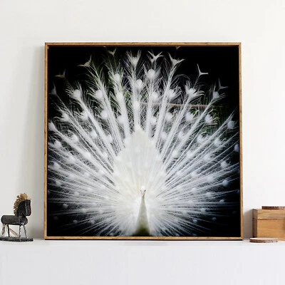 Pintura abstracta de pavo real blanco lienzo de seda póster arte decoración de pared A666 sin marco Foto 1 de 4