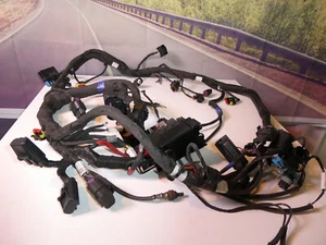 Indian Wire Harness 2414419 Scout Bobber 2019 Genuine OEM Main Wiring X5 - Bild 1 von 12