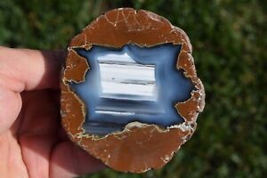 Thunderegg Polished Agate Waterline Opal Ocean Window Richardson Priday Oregon