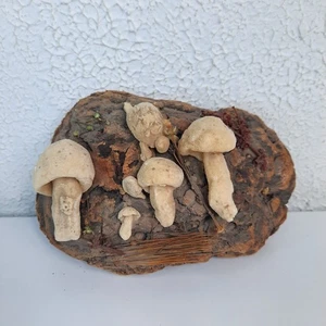 Driftwood with Clay Mushrooms Wall Hanging 4"x5" Primitive Cabin Rustic Decor - Picture 1 of 4
