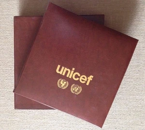 ÁLBUM UNICEF SERIES Y SOBRES ONU UNITED NATIONS - Imagen 1 de 8