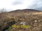 Photo 6x4 The forest returns Wester Gruinards Young pine trees near Whale c2008