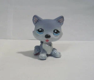 LITTLEST PET SHOP # 1617 HUSKY PUPPY BLUE EYES POLK A DOT EARS SNOWFLAKES DOG - Picture 1 of 3