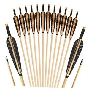 12 Pcs Archery Wooden Arrows with Feathers Handmade Targeting Arrows for Nature - Picture 1 of 7
