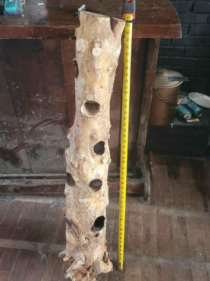 Fish And Reptile Hide - Image 1 of 1