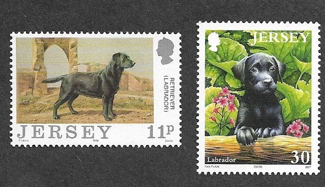 SELLOS POSTALES JERSEY PERROS LABRADOR MASCOTAS 1987 SIN MONTAR Foto 1 de 1
