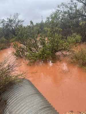 Conjunto de transmisión automática camioneta Ford F150 375 k E3ATP Foto 1 de 2