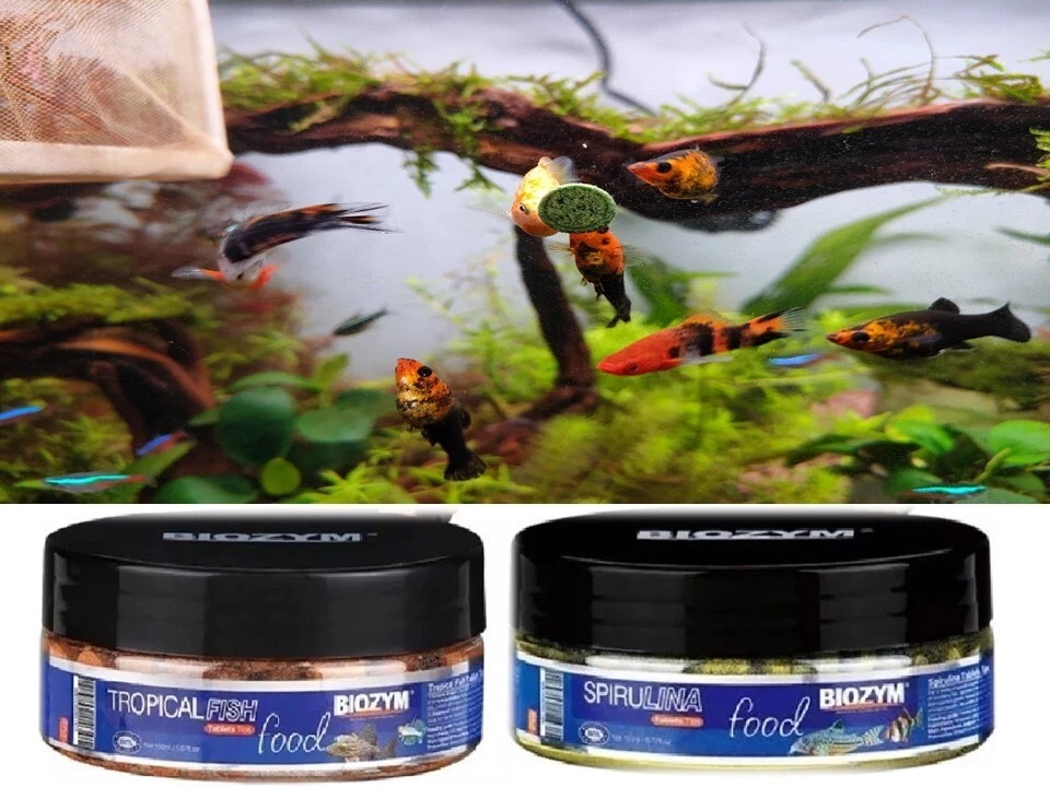 110g Fish Food Stick on Glass For Shrimp, Cichlid, Small Tropical Fish - Image 1 of 4