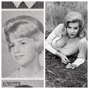 LORNA MAITLAND Anuario de Escuela Secundaria MONDO TOPLESS Mudhoney Russ Meyers Solo Libro - Imagen 1 de 11