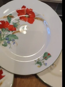 DUCHESS BONE CHINA MOHNBLUMEN 17cm Beilagenteller X6 einwandfreier unbenutzter Zustand  - Bild 1 von 5