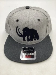 Rare Mammoth Microbes Gray Flat Bill Snapback Hat OTTO CANNABIS WEED MARIJUANA - Picture 1 of 9