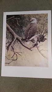 Bald Eagle And Prey Print By J. Stroschin Signed And Numbered - Picture 1 of 3
