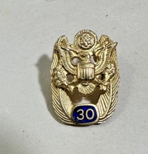 US State Department Diplomatic Security Service Longevity Lapel Pin - 30 Years - Picture 1 of 3