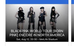 blackpink concert ticket - Picture 1 of 1