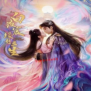 2025 Chinese THE SUN IN THE DARK 白夜宸缘起三生 Chinese Sub BOXed - Foto 1 di 3