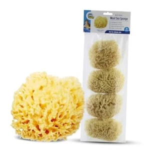 Natural Wool Sea Sponge, Newborn Bath Time Essential, 4 Count (Pack of 1) - Picture 1 of 7