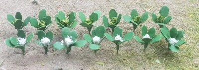 MP SCENERY 18 Broccolis & Cauliflowers N Gauge Farm Plants Railroad Farm Layout  - Image 1 of 4