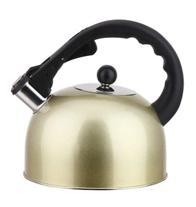Caldera de té estufa de acero inoxidable 3L con mango, compatible con inducción - Imagen 1 de 40