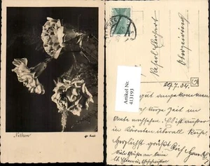 413193, flores de clavel - Imagen 1 de 1