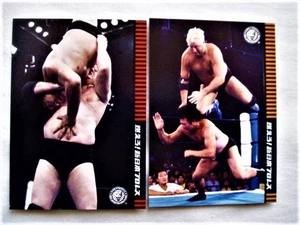 Dick Murdoch New Japan Pro Wrestling DVD Bonus Appendix Card Set of 2 Burn - Picture 1 of 2