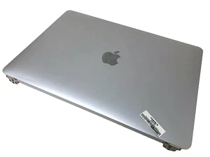 A2159 LCD Display 13" MacBook 661-12830 Space Gray 2 TB 3 2019 MUHN2L EMC 3301 A - Picture 1 of 2