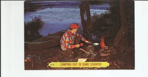 Vintage Scenic Camping Out In Game Country,Postcard Never Posted. - Picture 1 of 2