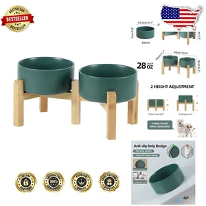 Adjustable Dog Bowl Set with Weighted Ceramic Bowls & Non-Slip Stand in Green - Picture 1 of 9