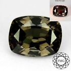 Grenat 2,01 Ct Color Change ( Effet Alexandrite) Mozambique FMG Gemstones