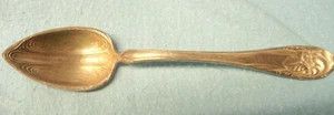 1 Orange Fruit Spoon ONEIDA Community Silverplate 1904 Fleur de Luce Flower GUC - Bild 1 von 7