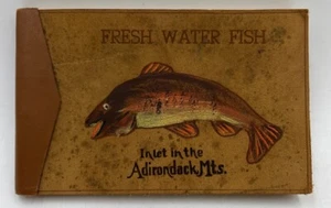 Fresh Water Fish~Inlet It The Adirondack Mts. Joe Godfrey Jr. - Picture 1 of 14
