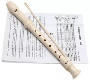 Traditional Recorder Beginner Musical Instrument and Instructions & Cleaning Rod - Picture 1 of 7