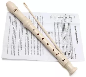 More details for traditional recorder beginner musical instrument and instructions &amp; cleaning rod