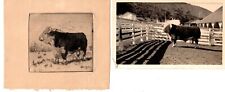 Leonard Borman - Drypoint (Cuddles The Pillsbury Pet Bull) & 15 photos 1937