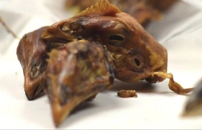 脱水狗零食,鸡头,有机,单一成分,天然 5 包 — 第 1/2 张图片